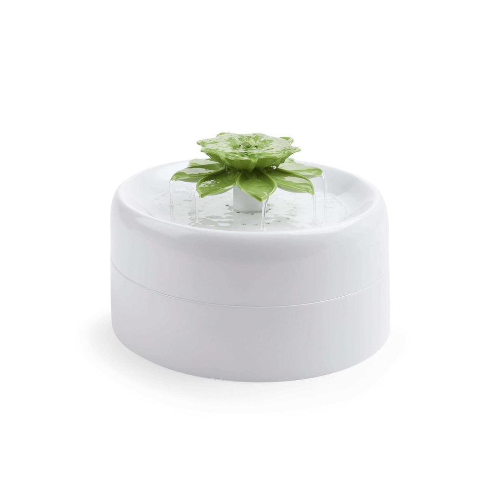 Succulent Water Fountain Q194894