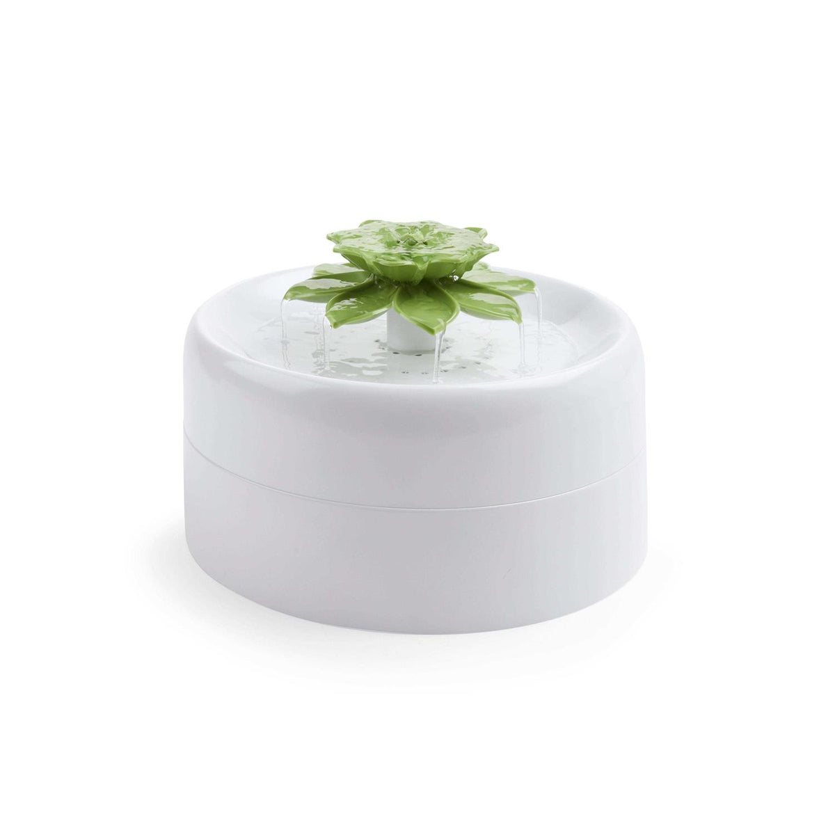 Succulent Water Fountain Q194894