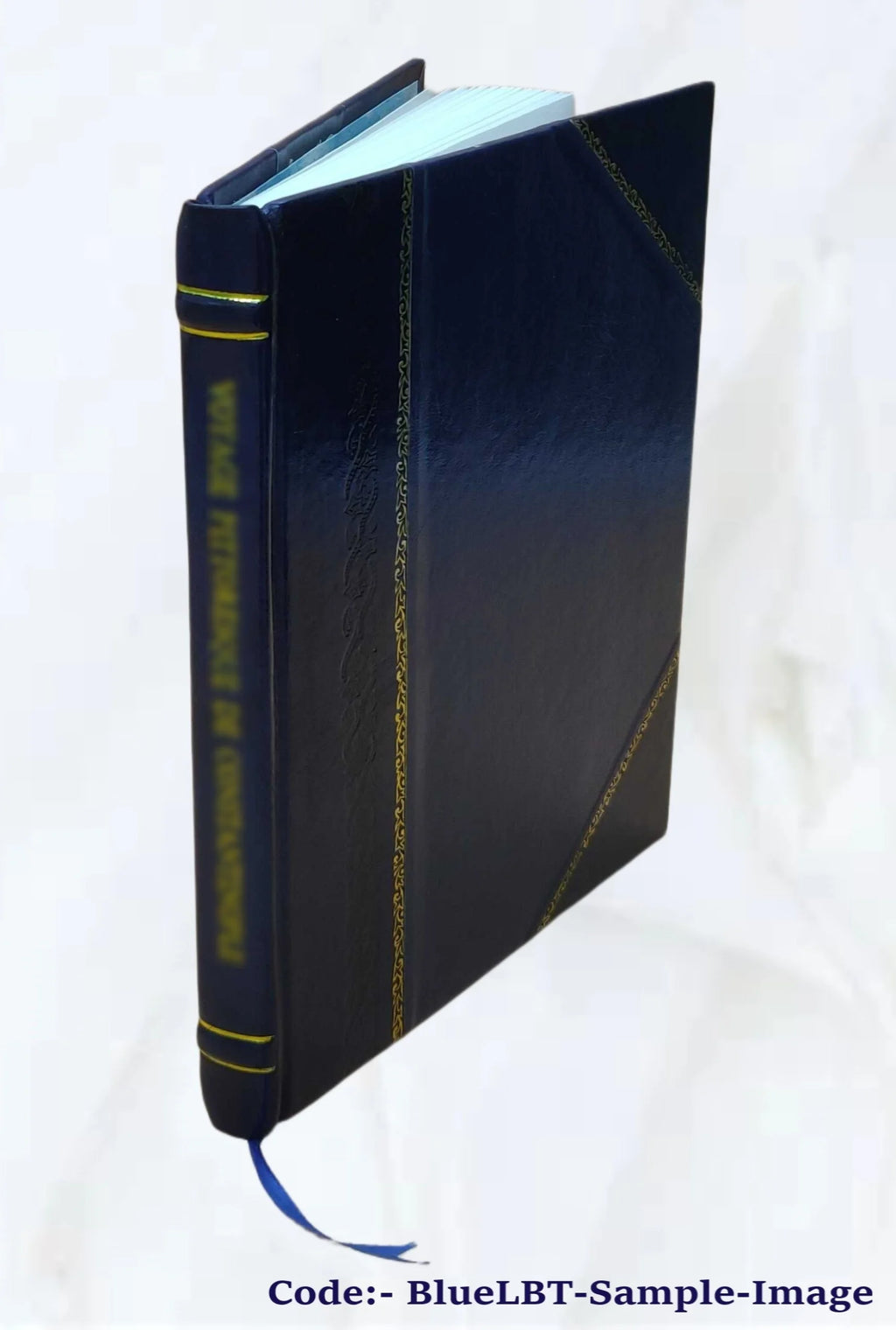 Leather Bound Book D517