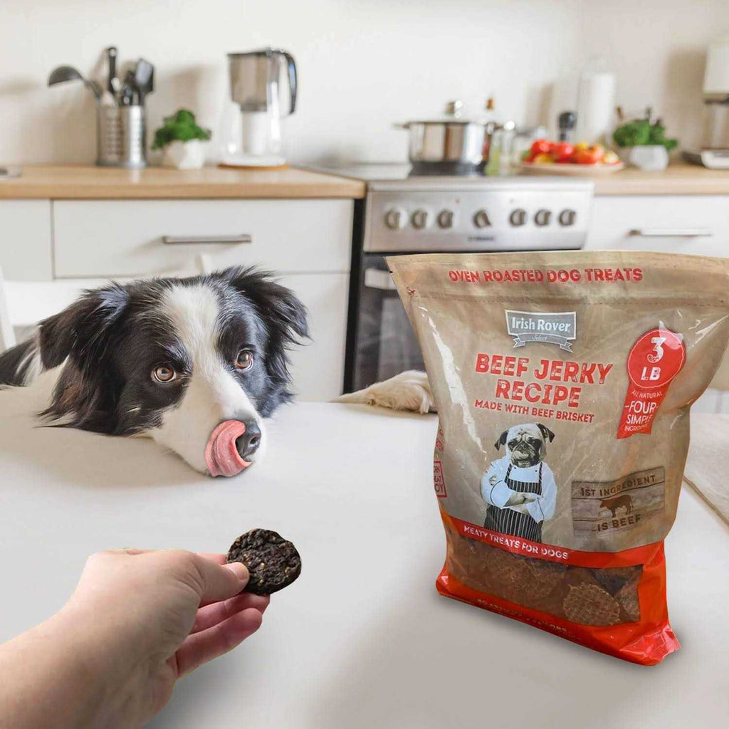 Beef Jerky Dog Treats I768865