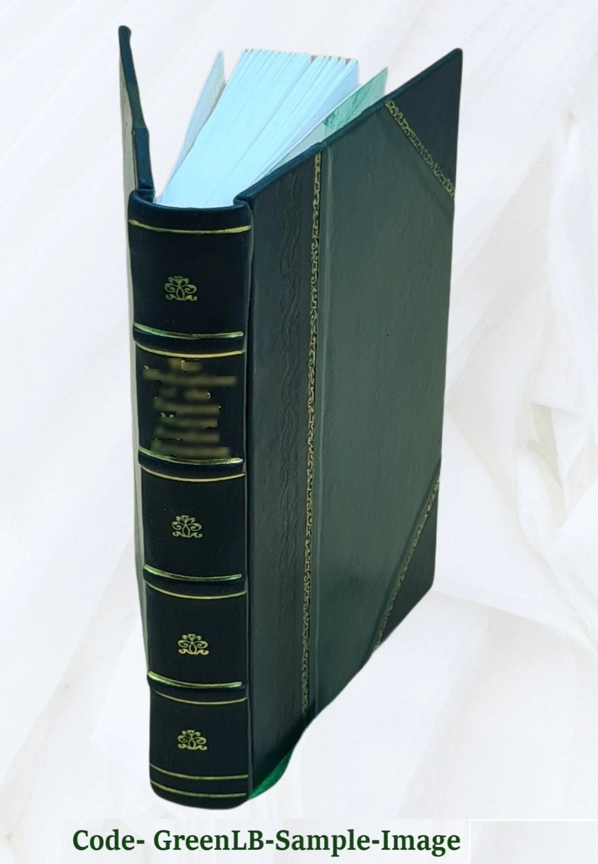 Leather Bound Z3897