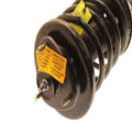 Strut Plus Assembly H13746