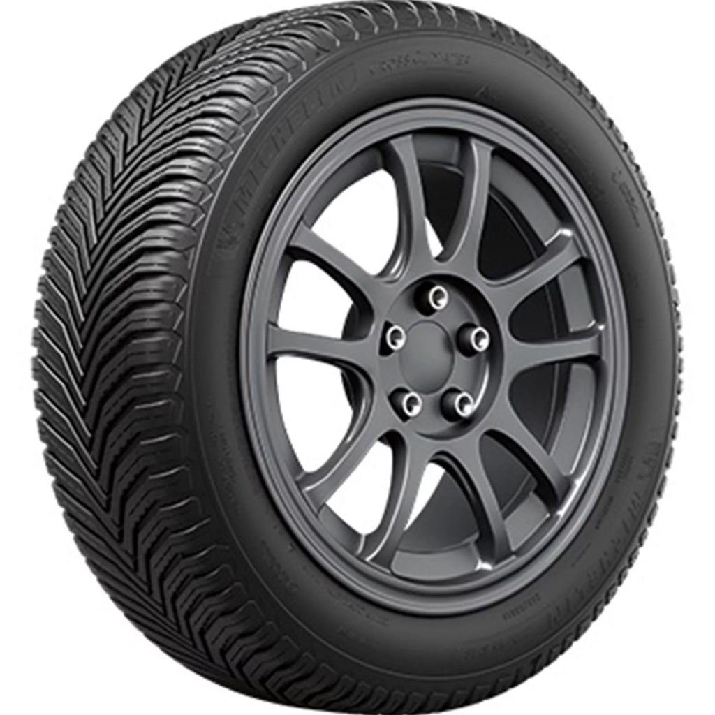 All Weather 225/50R17 98V XL SUV/Crossover Tire V1749