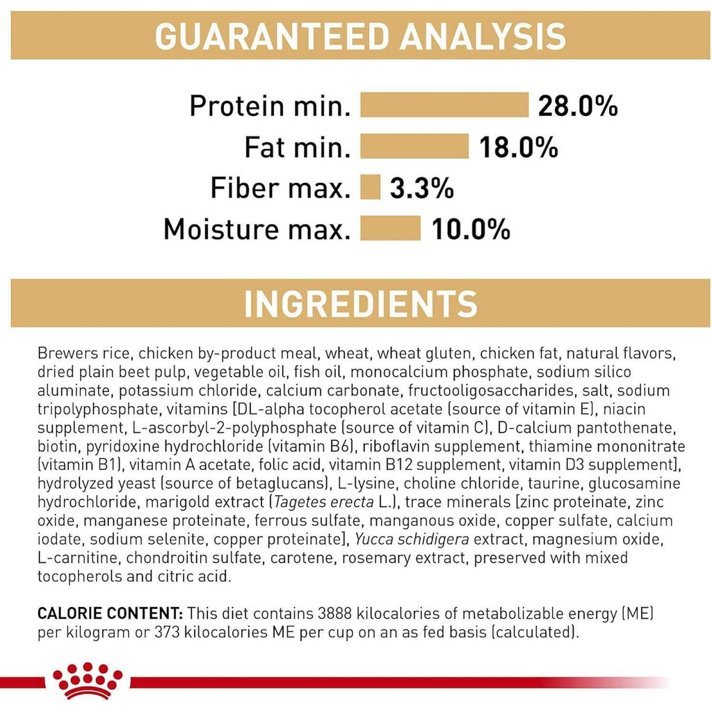 French Bulldog Puppy Dry Dog Food O784453