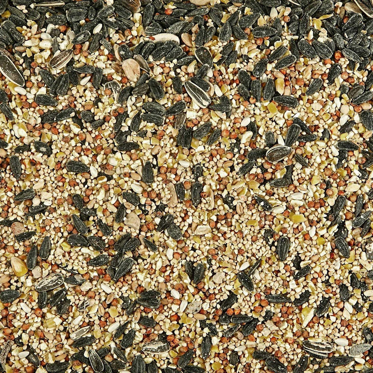 Wild Bird Food D516