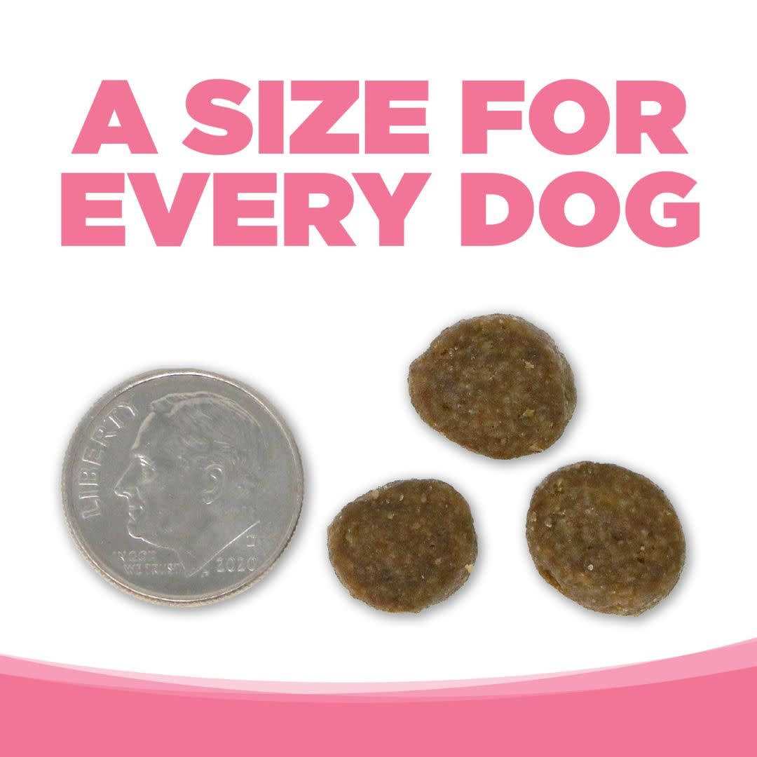 Grain Free Salmon Dog Food B113594
