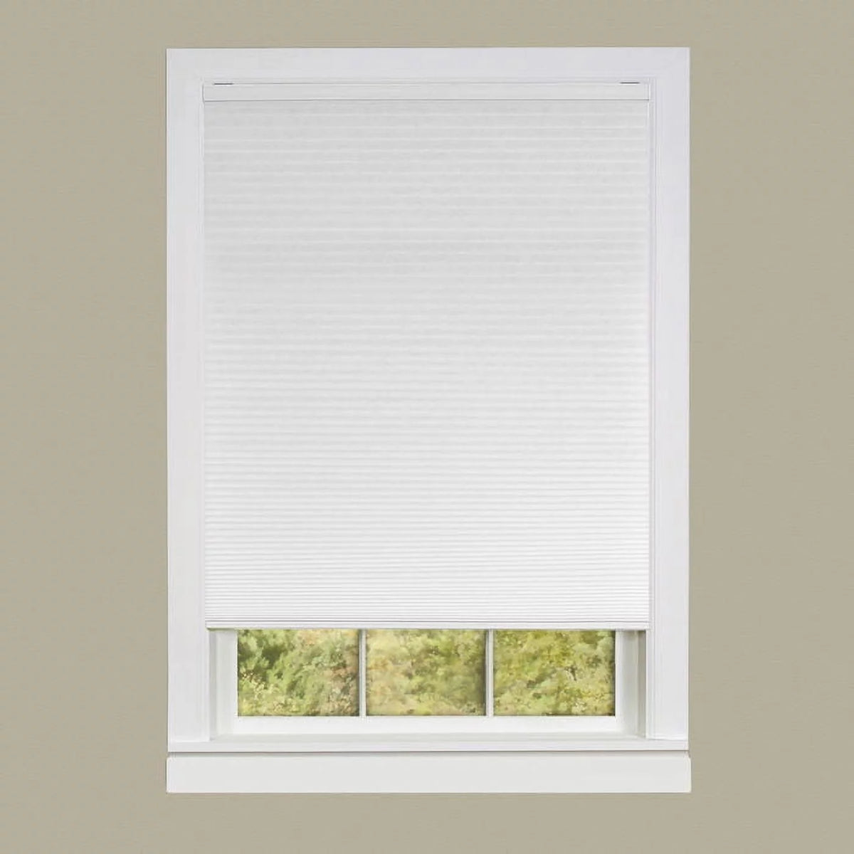 Cordless Honeycomb Cellular Pleated Shade C493