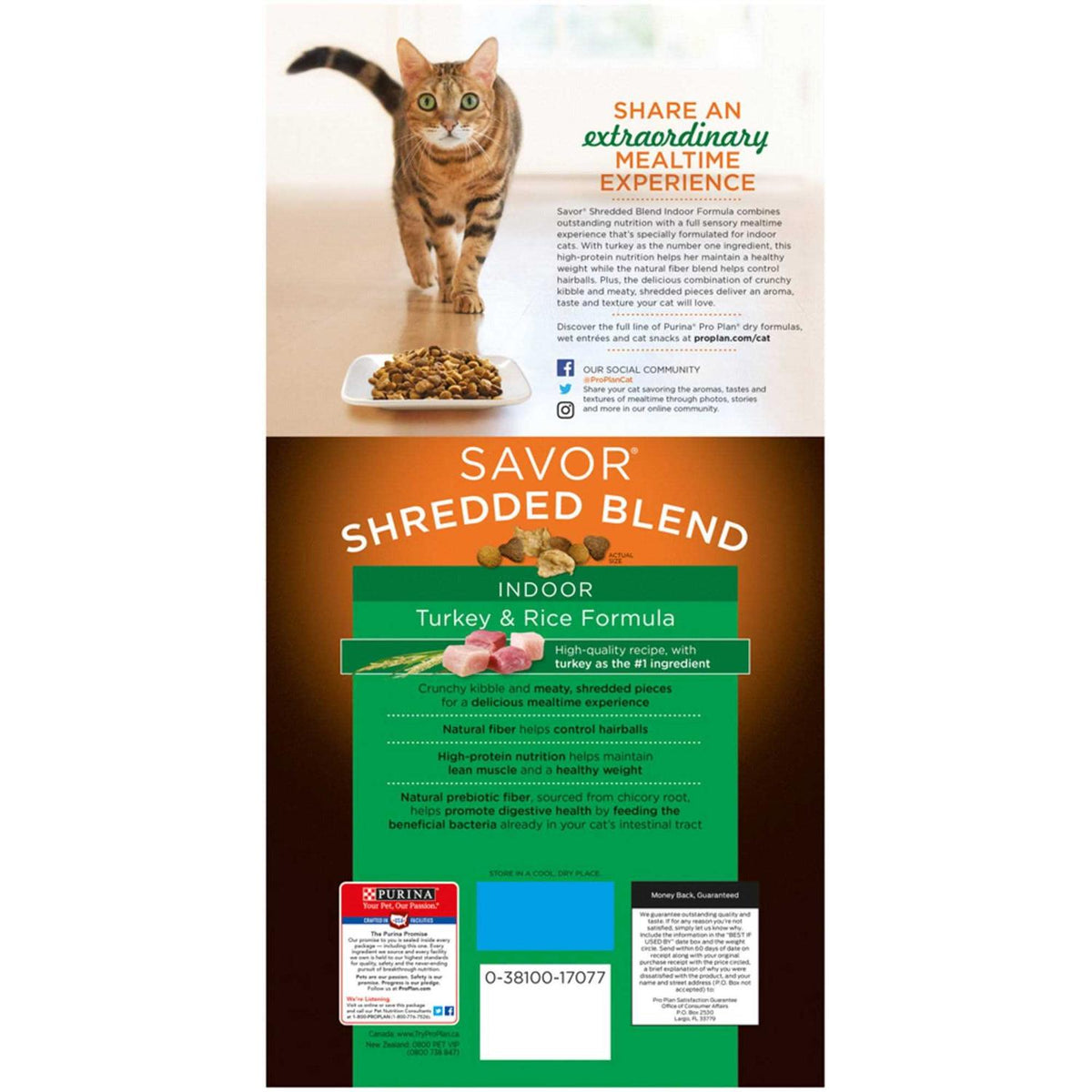 Indoor Hairball Management Turkey & Rice Dry Cat Food C6133