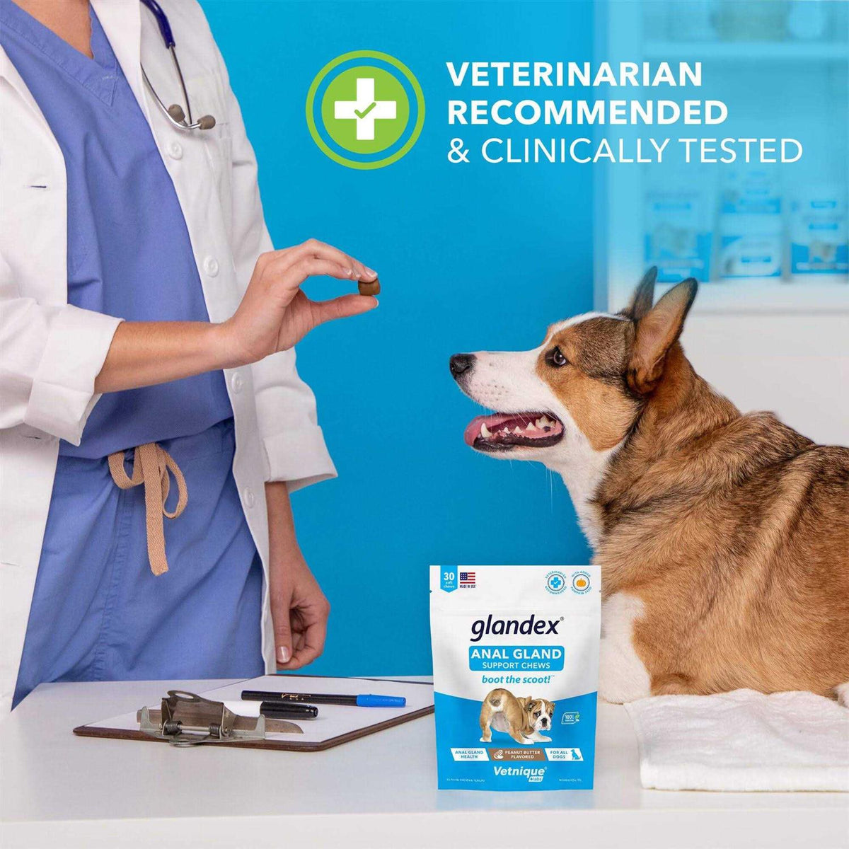 Anal Gland Soft Chews Supplement for Dogs T723178