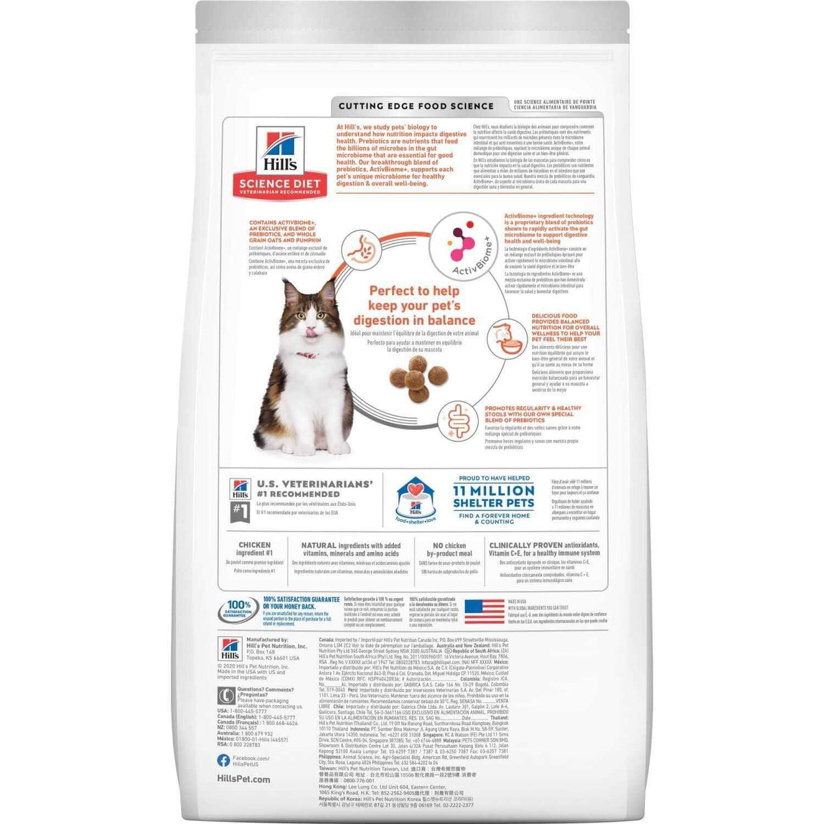 Adult Chicken Digestion W670