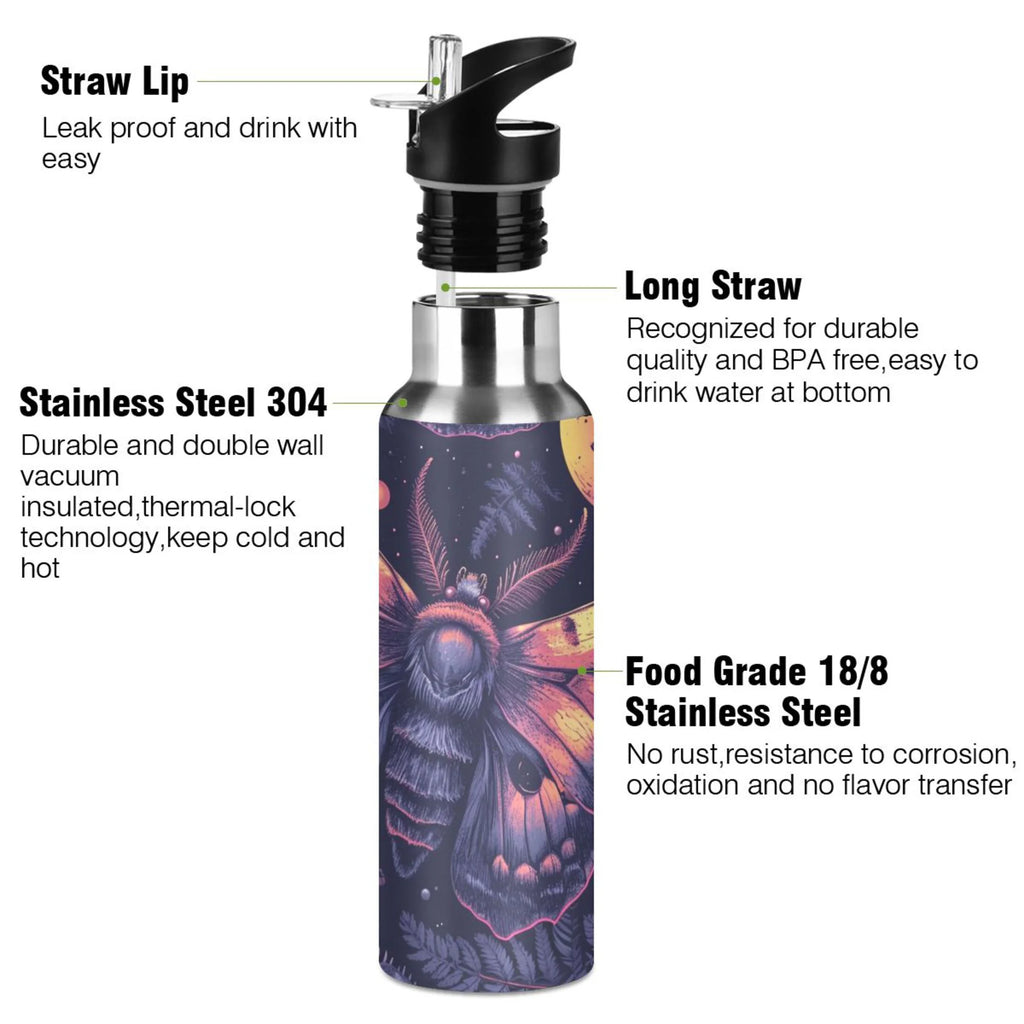 Insulated Stainless Steel Water Bottle with Straw Lid, 20 oz W1366