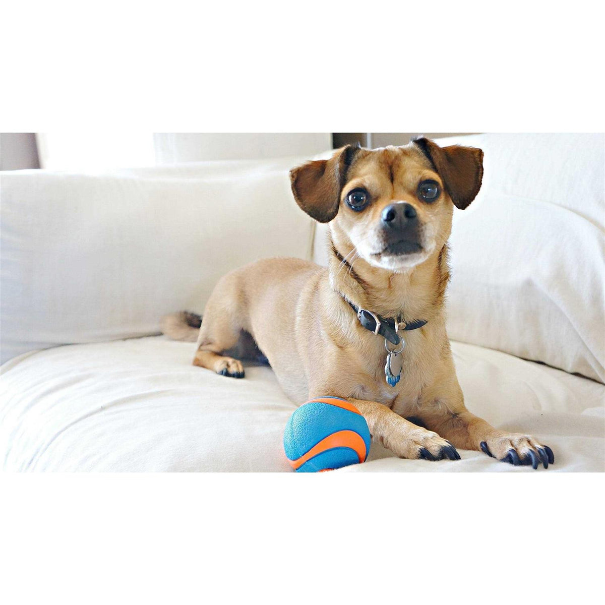 Ball G982647