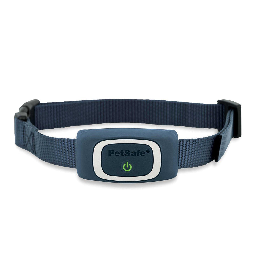 Dog Trainer D81097