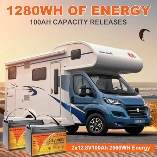 12V 100Ah LiFePO4 Lithium Battery B533534
