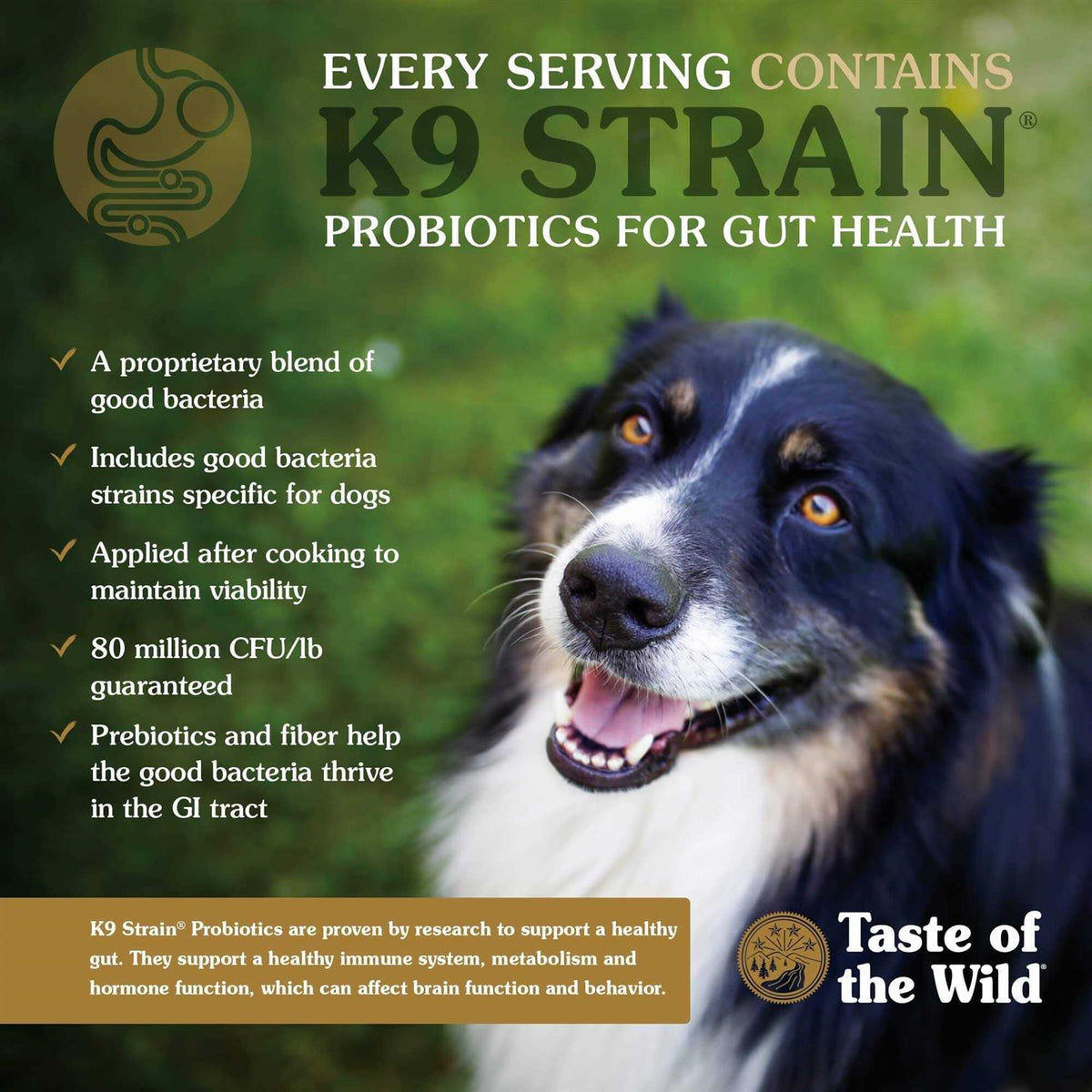 High Prairie Puppy Food H321138