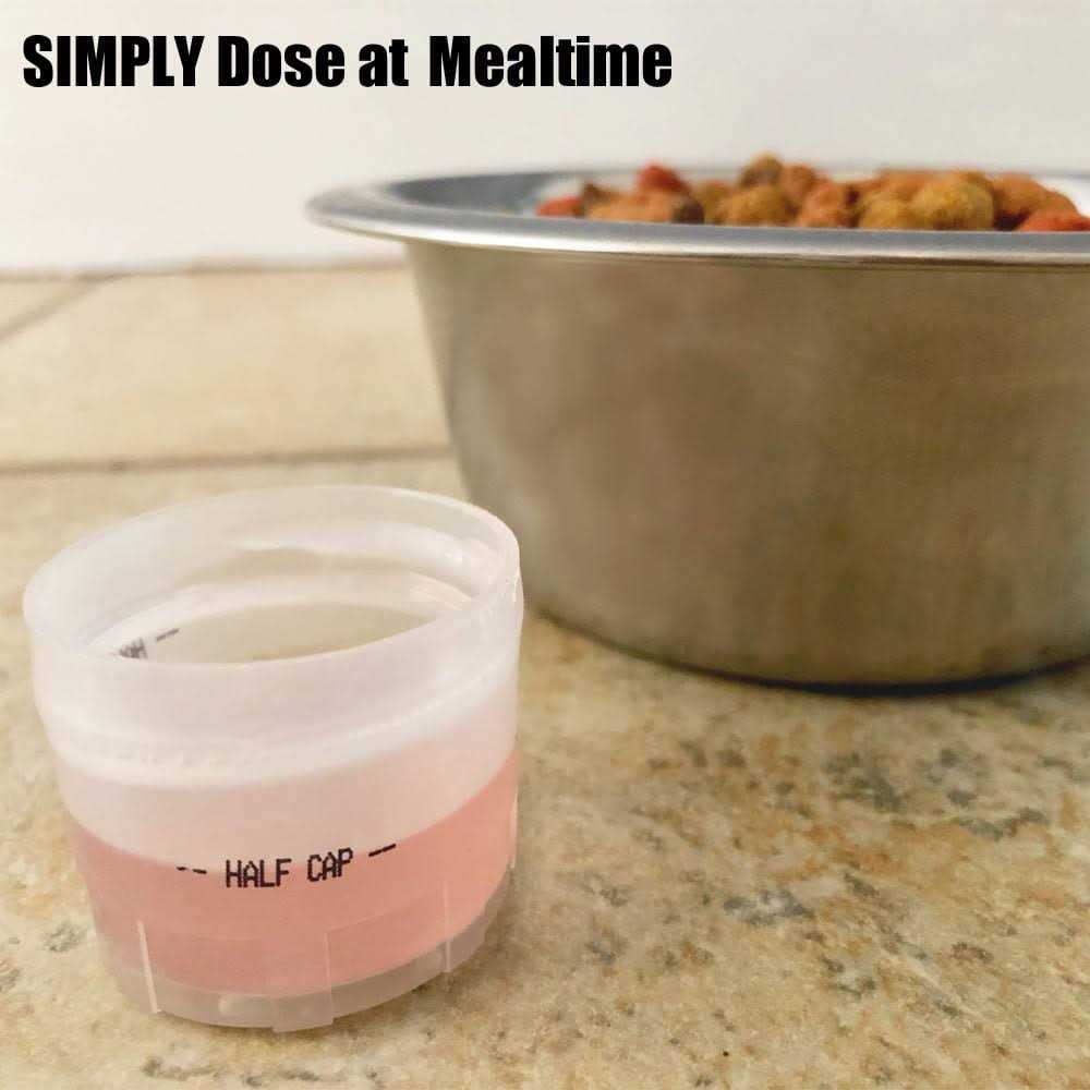 Feline Kidney & Bladder Support Y61731