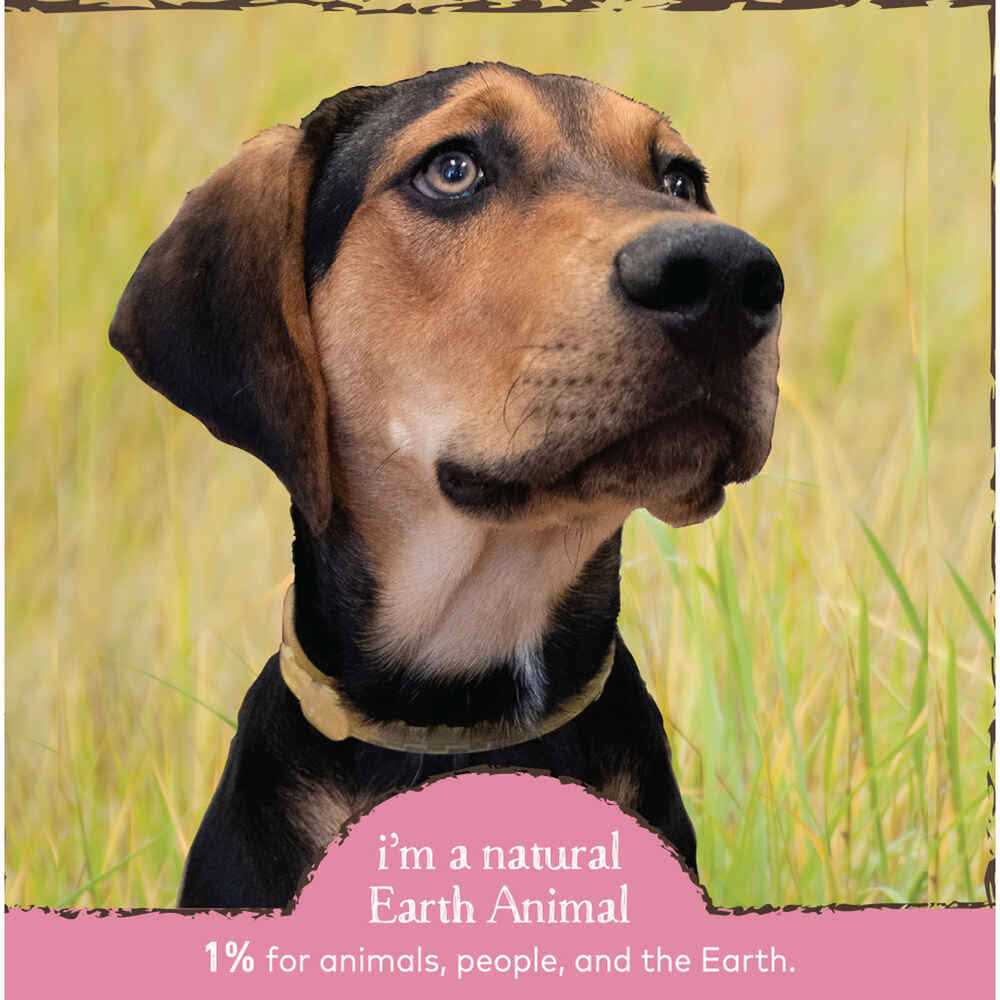 Herbal Flea & Tick Collar for Cats L324