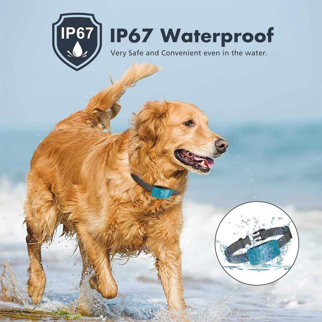 Rechargeable Anti Barking Training Collar F563