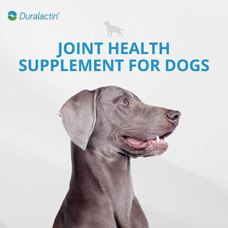 1000 mg Canine Pet Supplies F4059