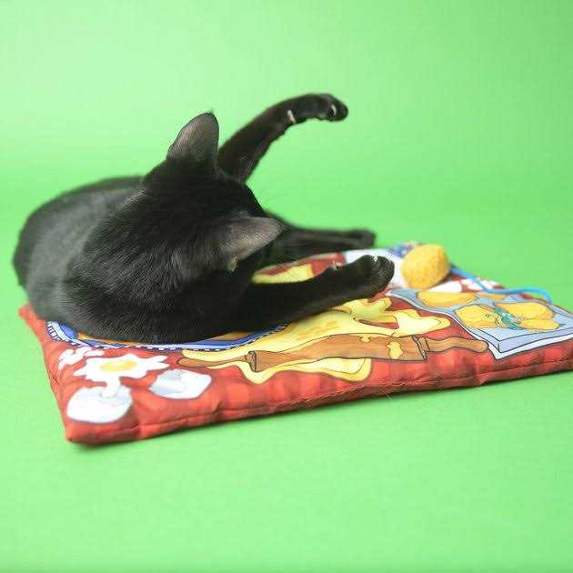 Cat Mat A121