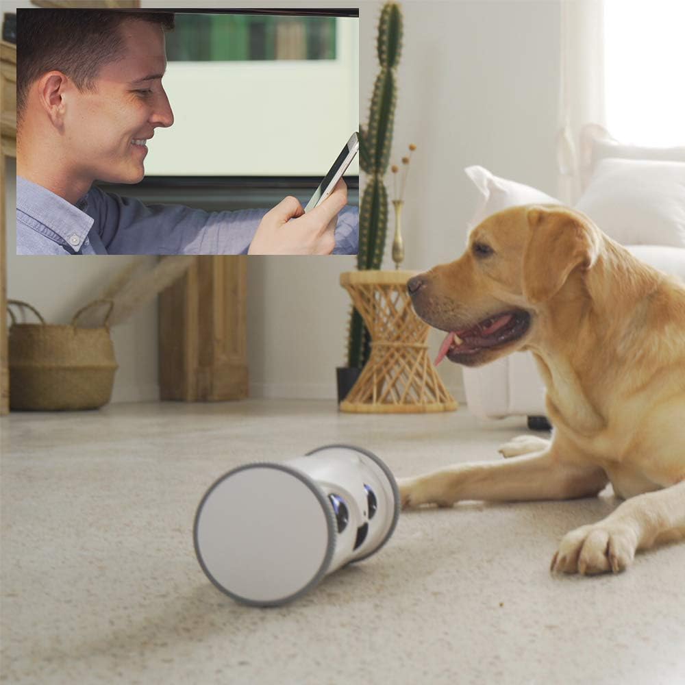 Owl Robot Pet Camera with Treat Dispenser J2781