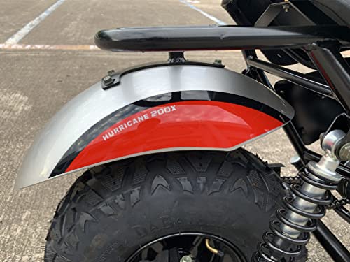 196cc Mini Bike with Front and Rear Brakes Q238