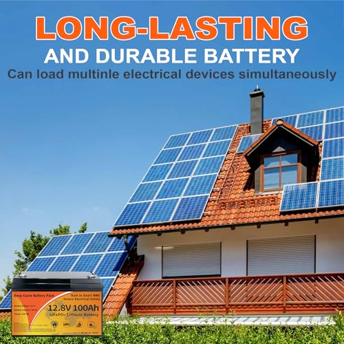 12V 100Ah LiFePO4 Lithium Battery B533534
