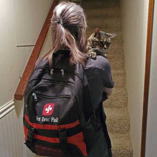 Cat Emergency Backpack J645135