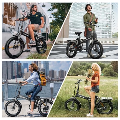 20" Fat Tire 1000W Folding Electric Bike with 48V 20.8AH Removable Battery V66092
