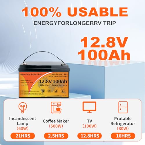 12V 100Ah LiFePO4 Lithium Battery B533534