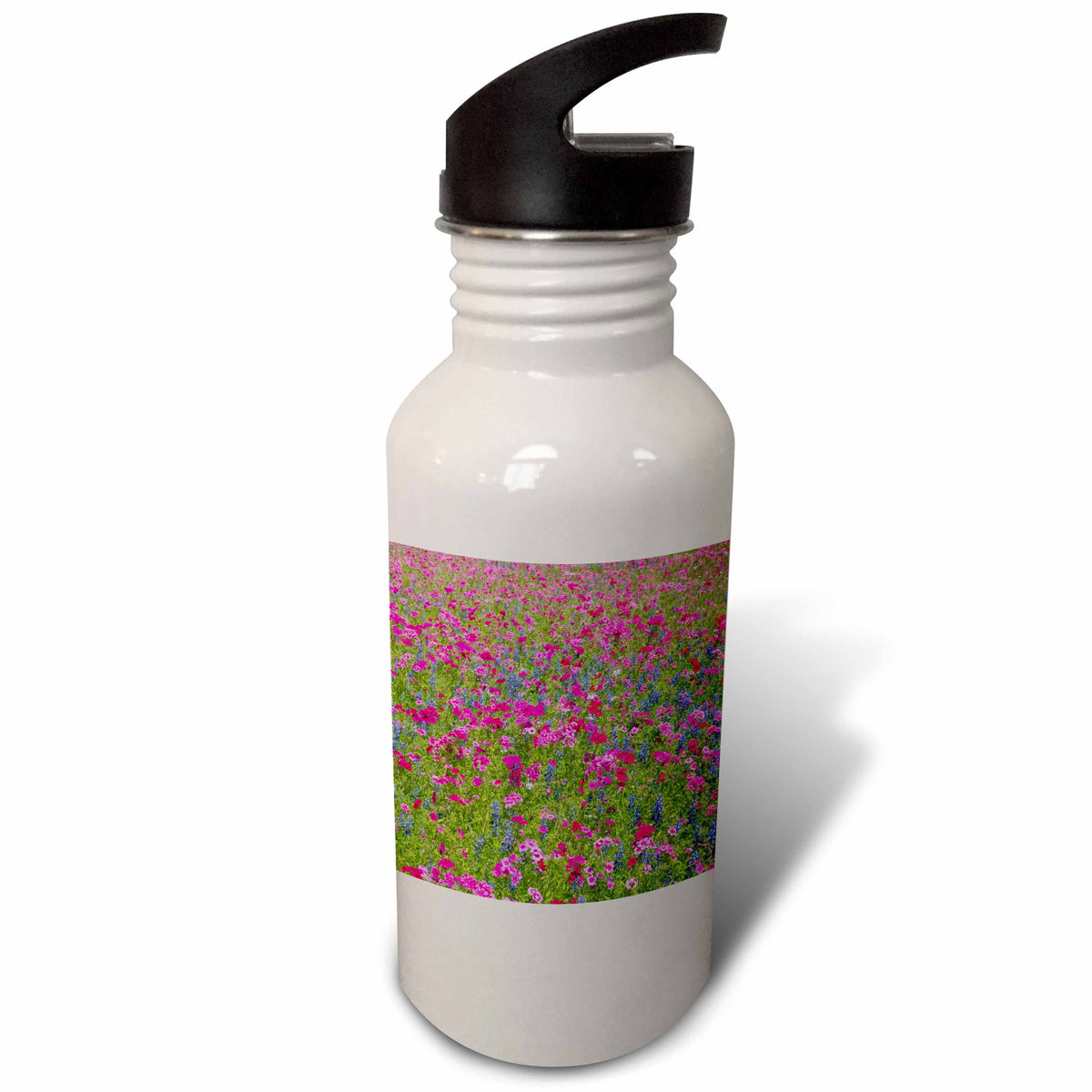 Sports Water Bottle E541