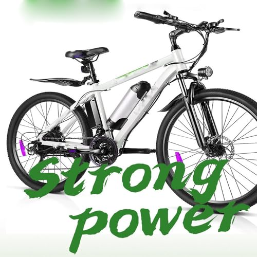 36V 8Ah 10Ah 12Ah 13Ah Lithium E-Bike Battery with Standard Charger I541783