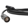 100' Cat6 Cable S147879