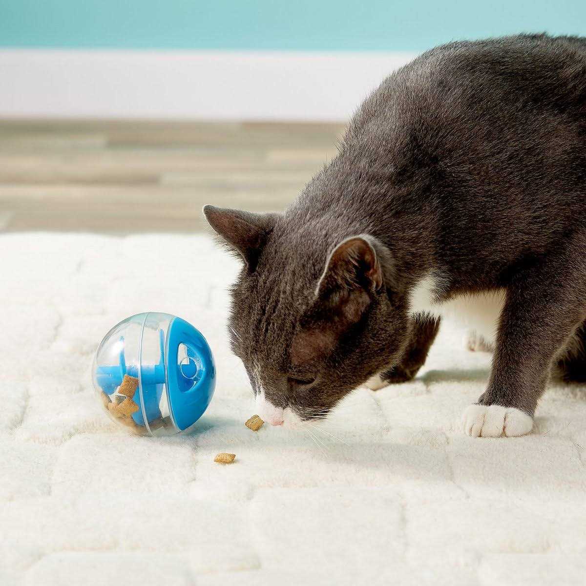 Treat Ball H2324