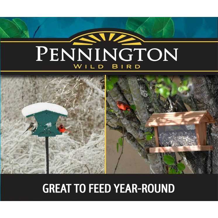 Bird Food D641458