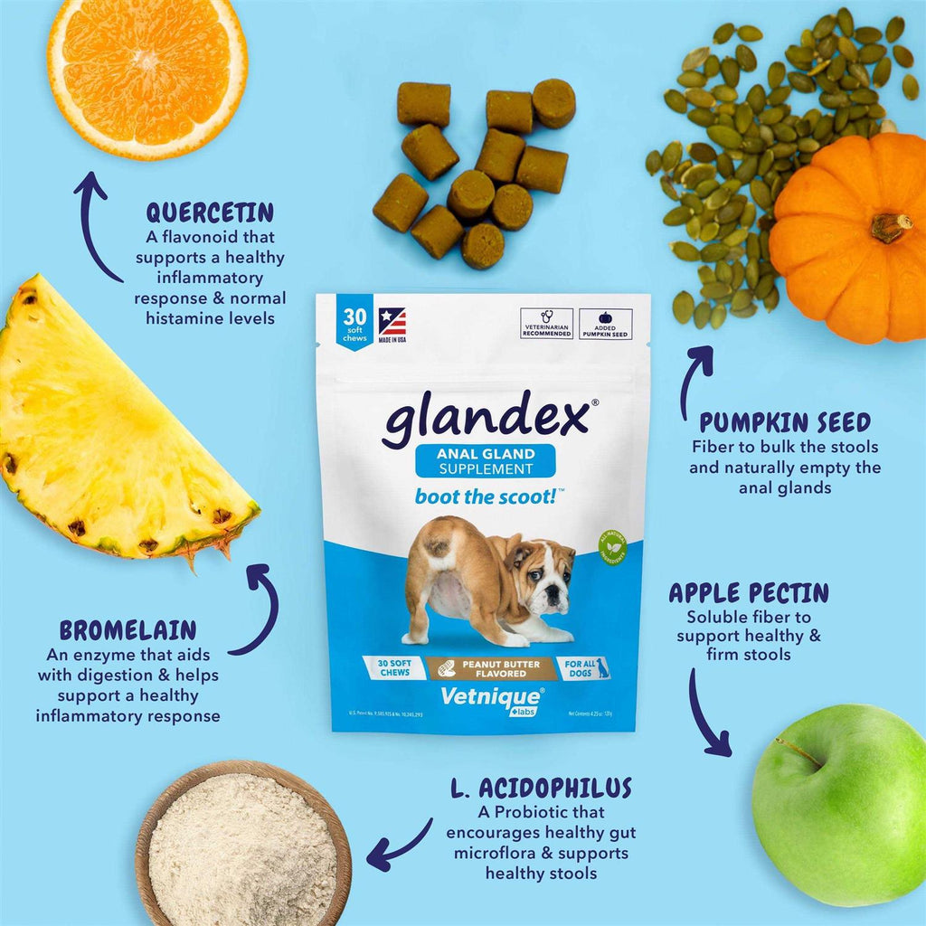 Anal Gland Soft Chews Supplement for Dogs T723178