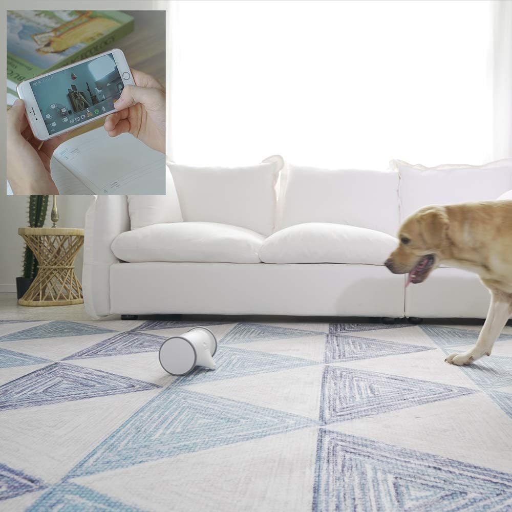 Owl Robot Pet Camera with Treat Dispenser J2781