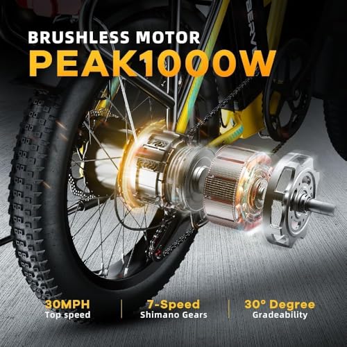 20" Fat Tire 1000W Folding Electric Bike with 48V 20.8AH Removable Battery V66092