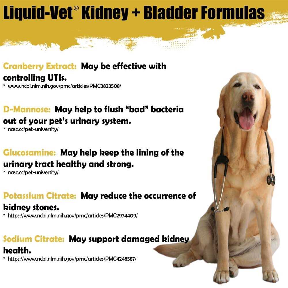 Feline Kidney & Bladder Support Y61731