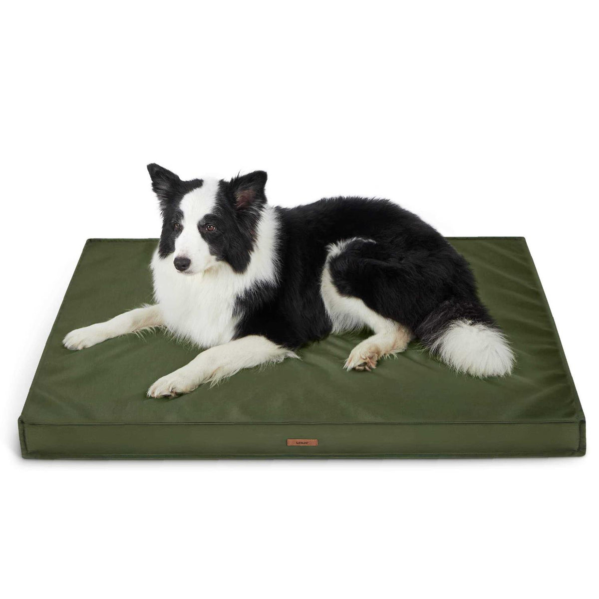 Waterproof Oxford Fabric Dog Bed H991