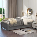 Solid Wood Platform Bed with Two Storage Drawers N423