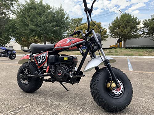 196cc Mini Bike with Front and Rear Brakes Q238