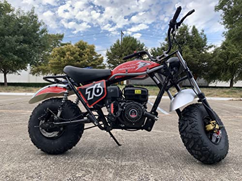 196cc Mini Bike with Front and Rear Brakes Q238