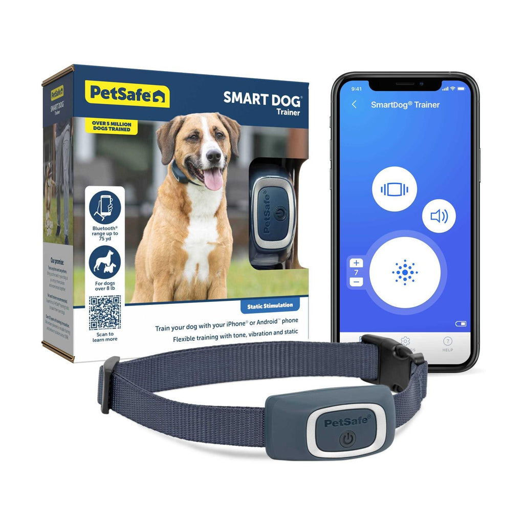 Dog Trainer D81097