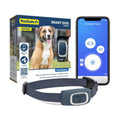 Dog Trainer D81097