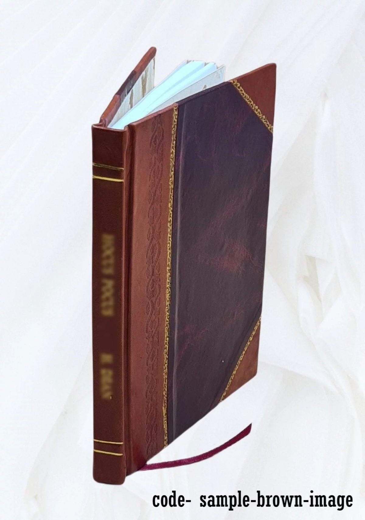 Leather Bound O31578
