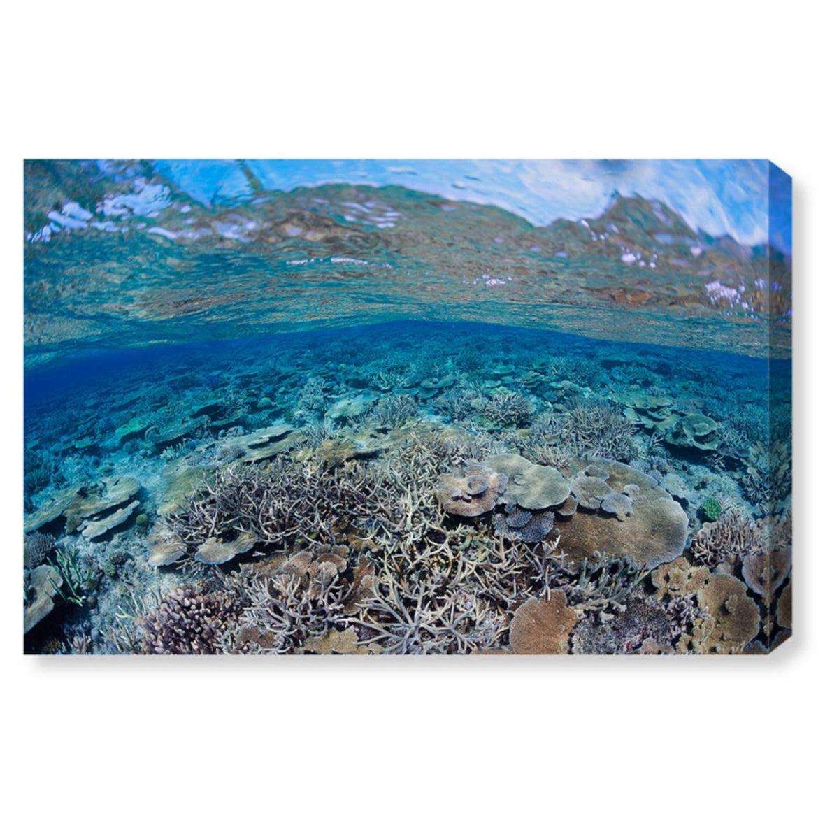 Blue Canvas Art J1463