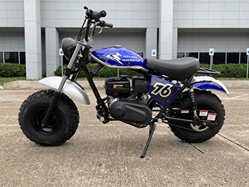 196cc Mini Bike with Front and Rear Brakes Q238