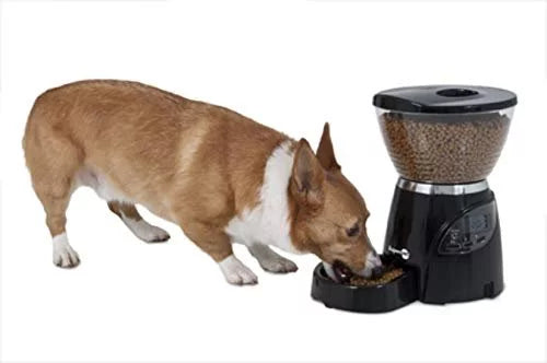 Programmable Dog and Cat Food Dispenser, 18 Cup X7099