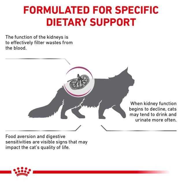 Veterinary Diet Feline Renal Support S Adult Dry Cat Food W32754